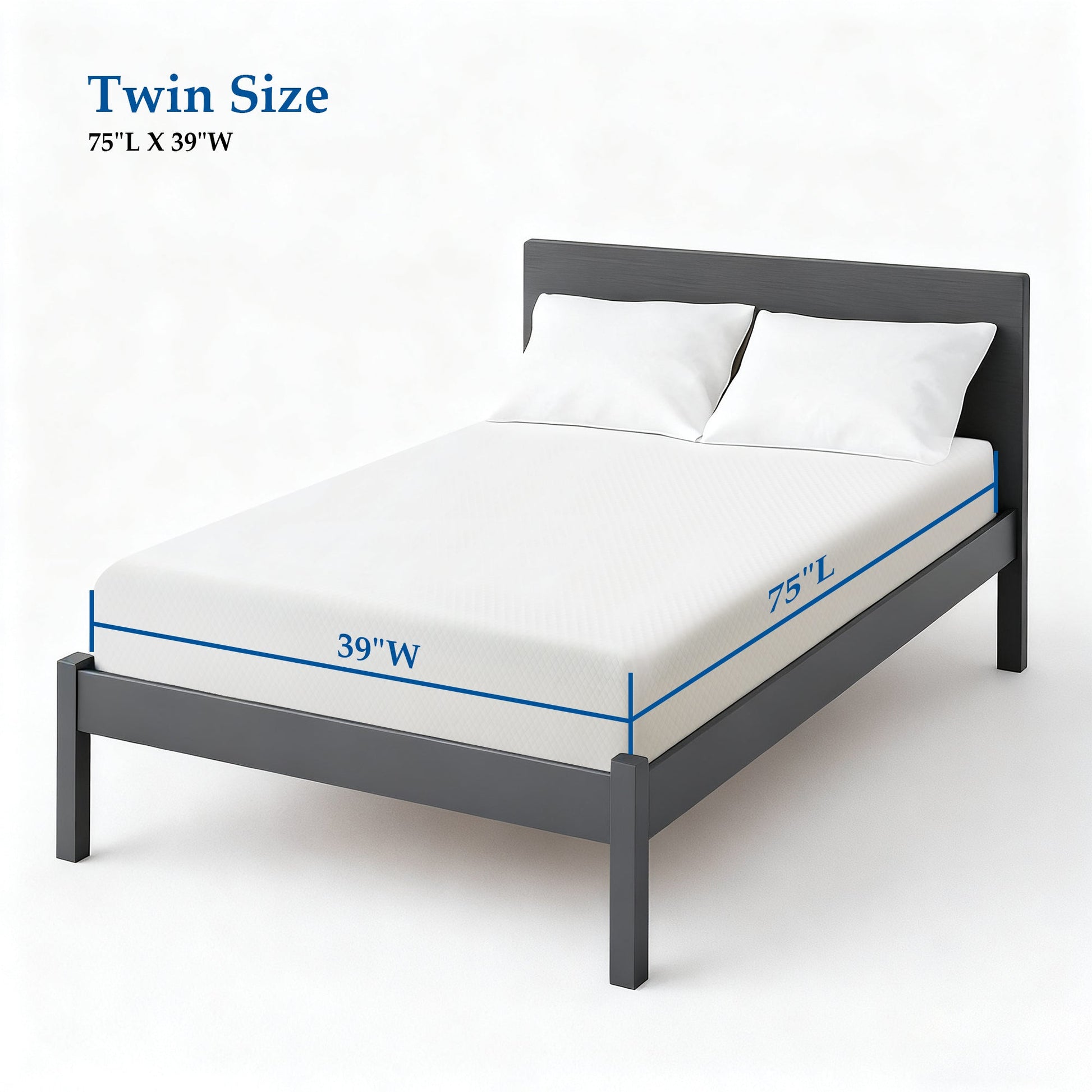 Twin / 6 in