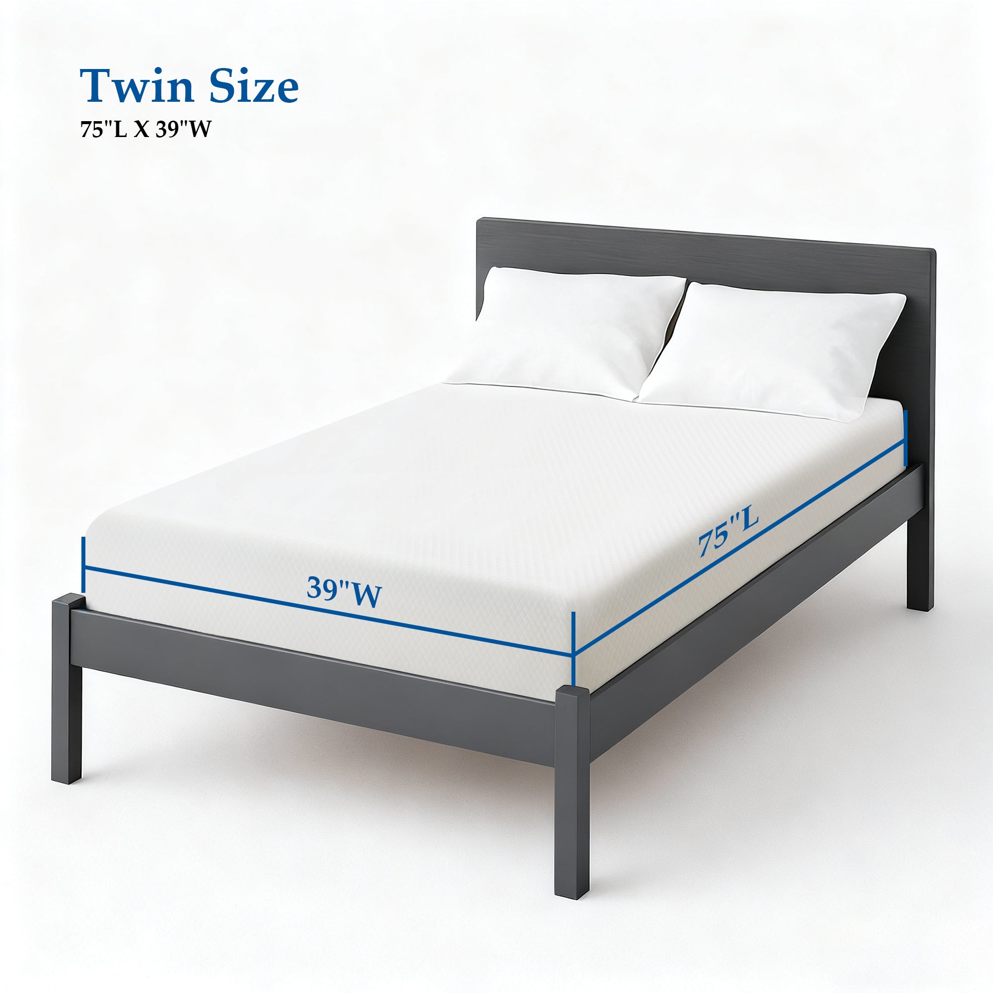 Twin / 6 in