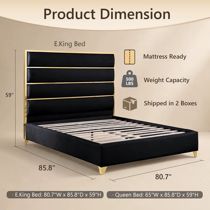 Modern Upholstered Bed with Stainless Steel Accents, Fully Upholstered Platform Bed, Mattress Ready