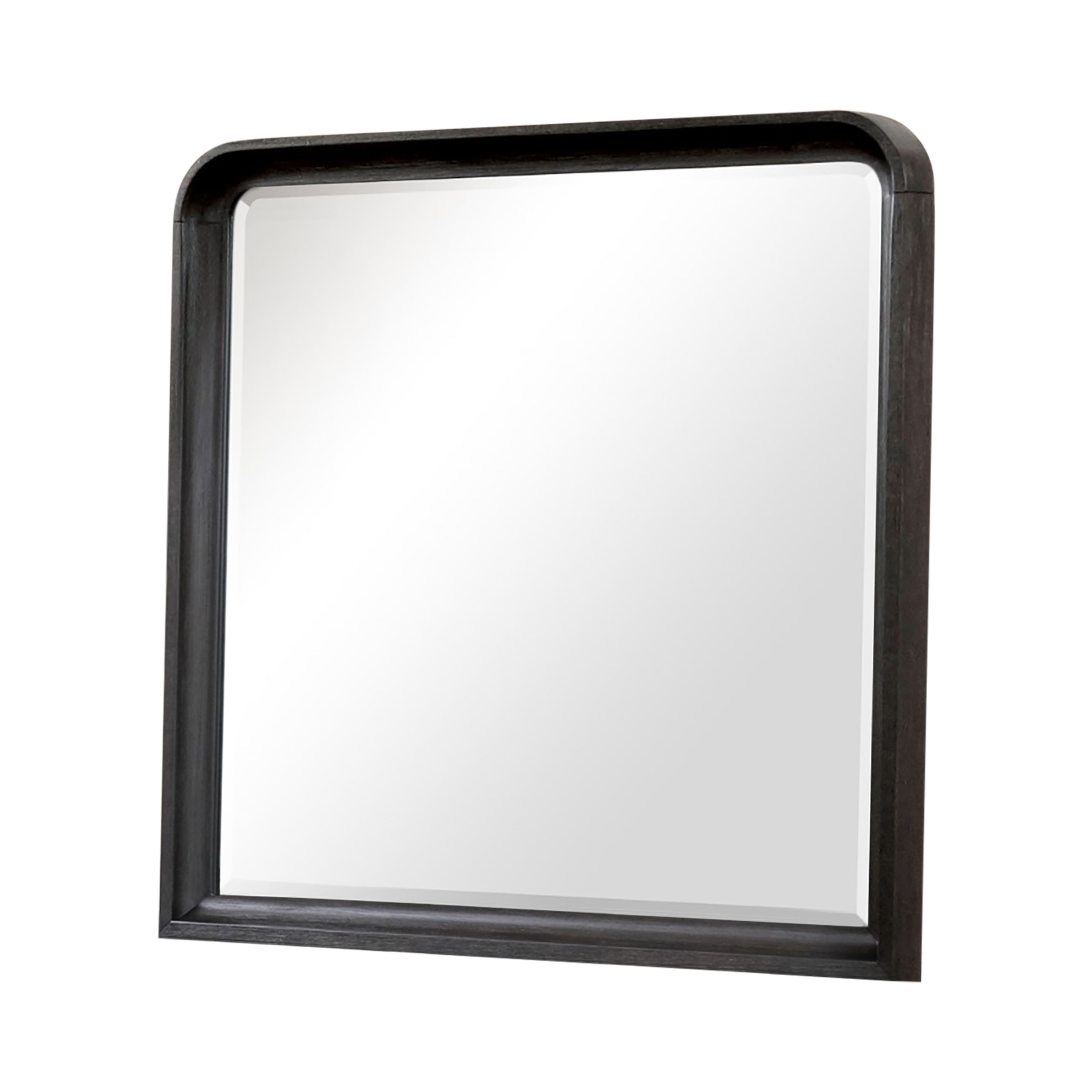 Wentworth Modern Contemporary Mirror