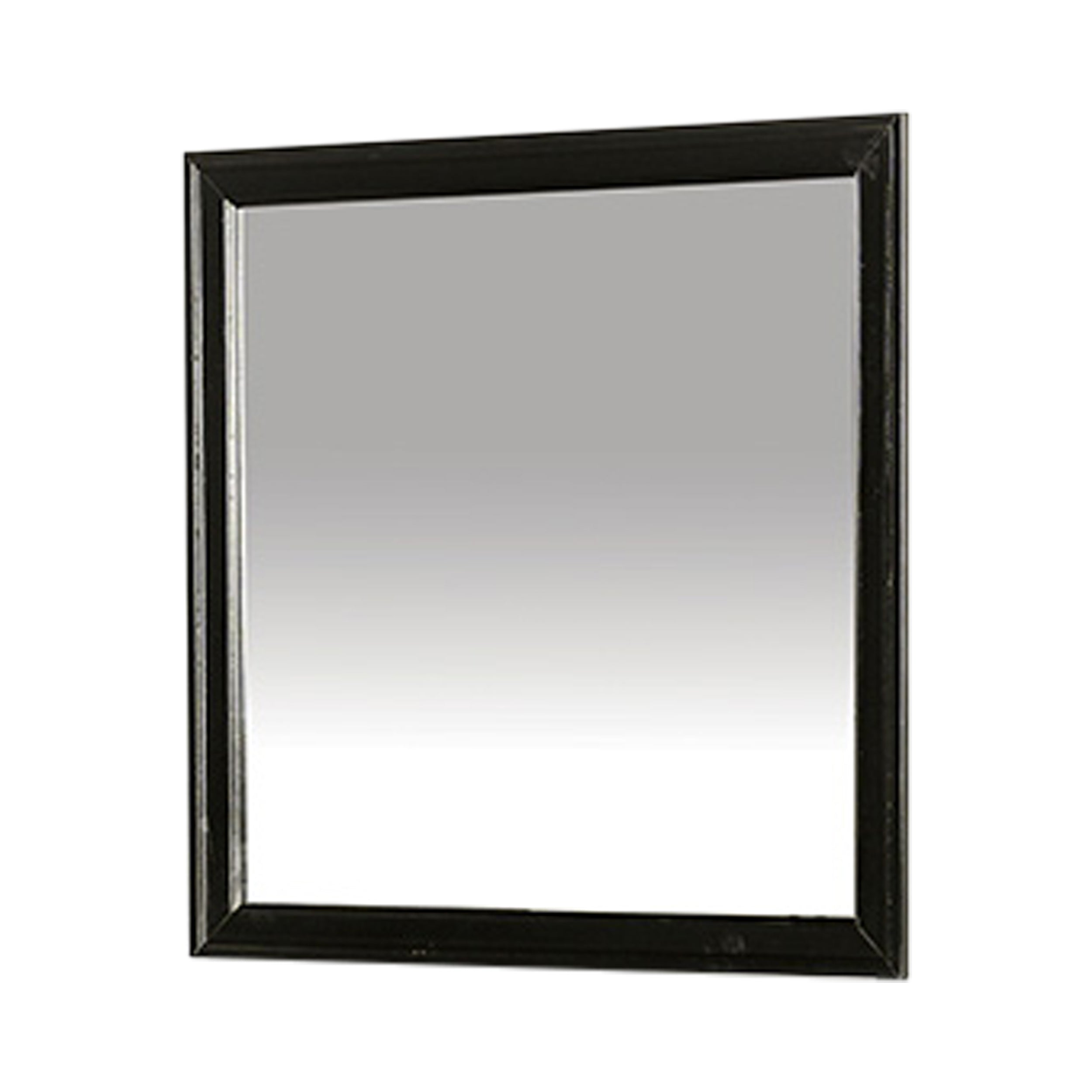Duc De Savoie Transitional Mirror