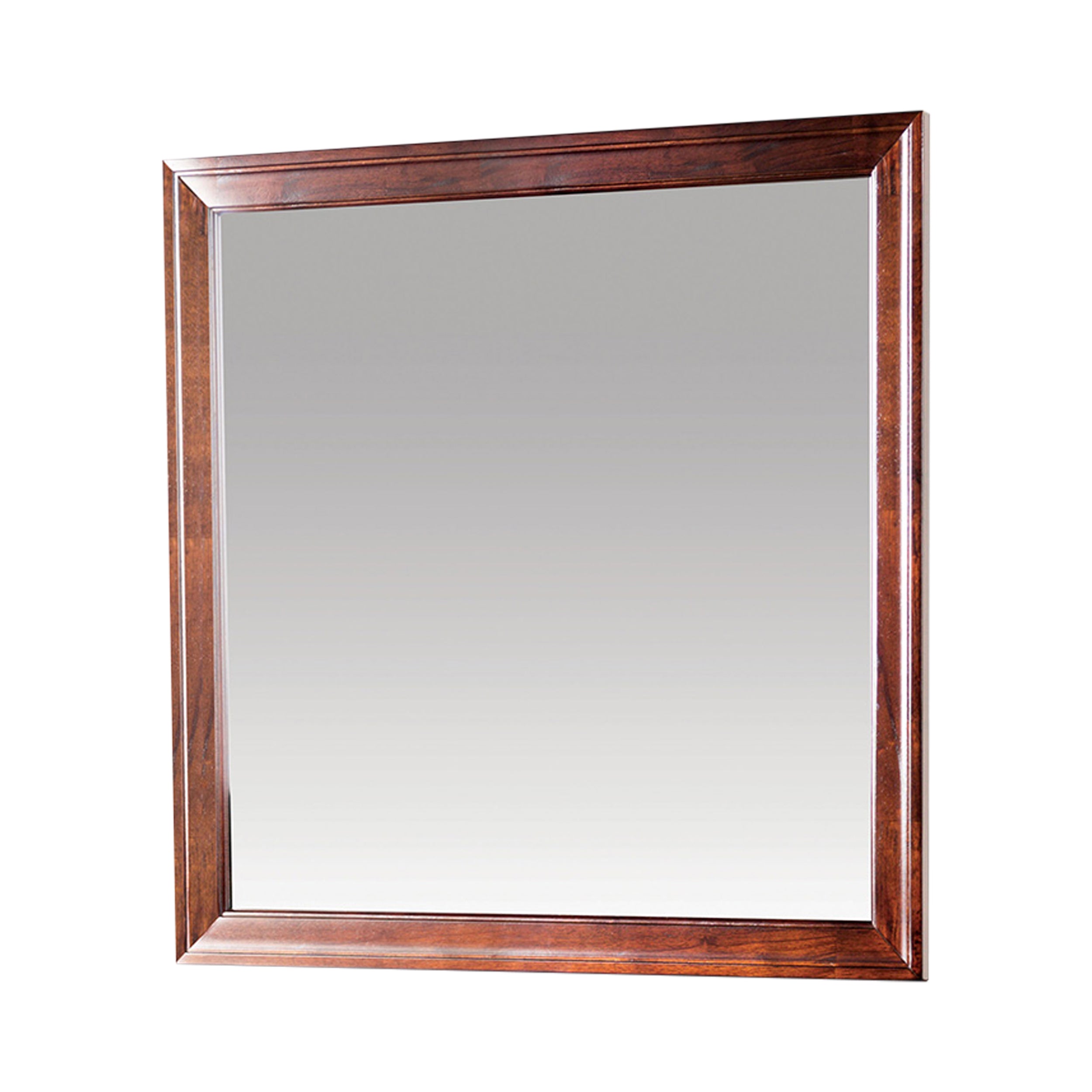 Duc De Savoie Transitional Mirror