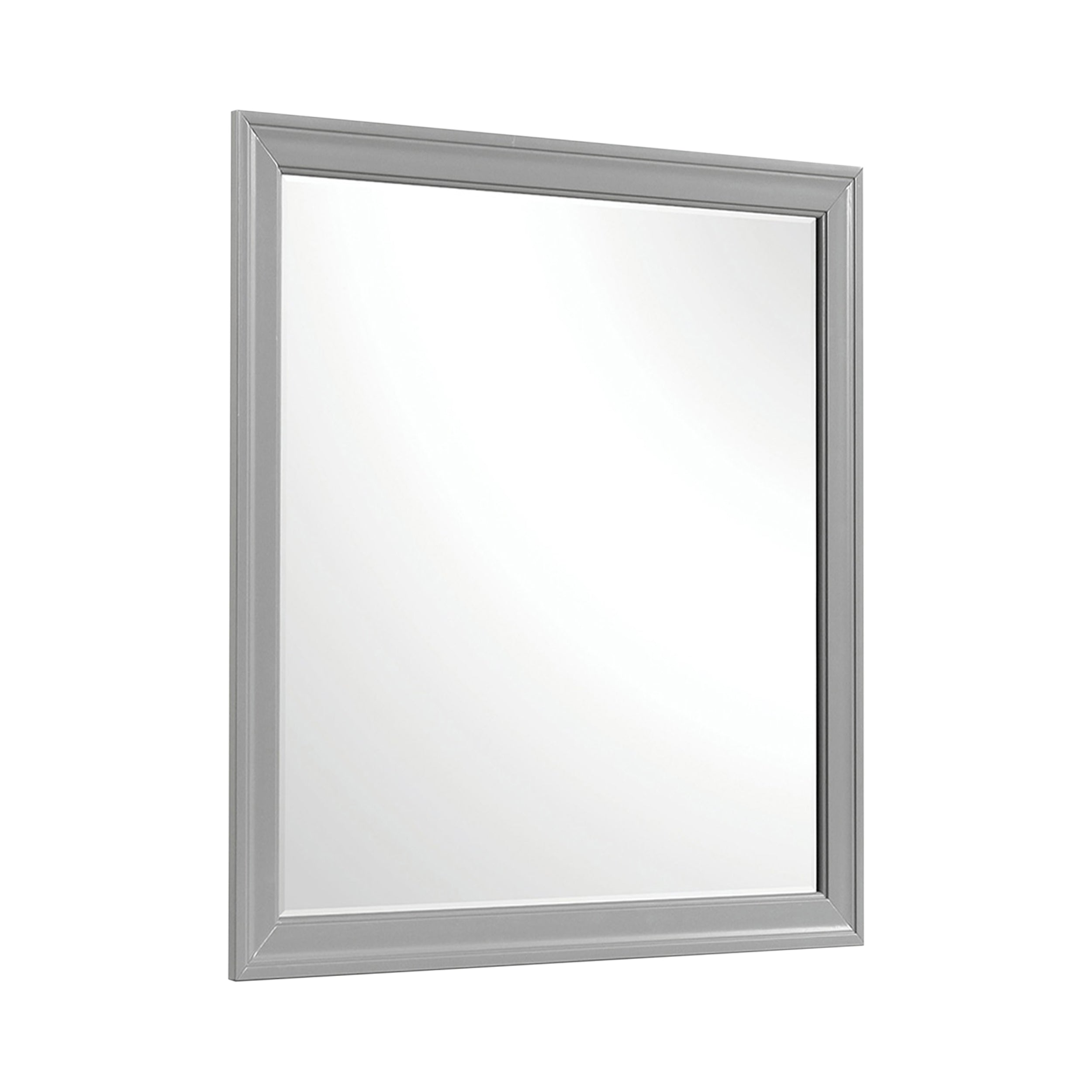 Duc De Savoie Transitional Mirror